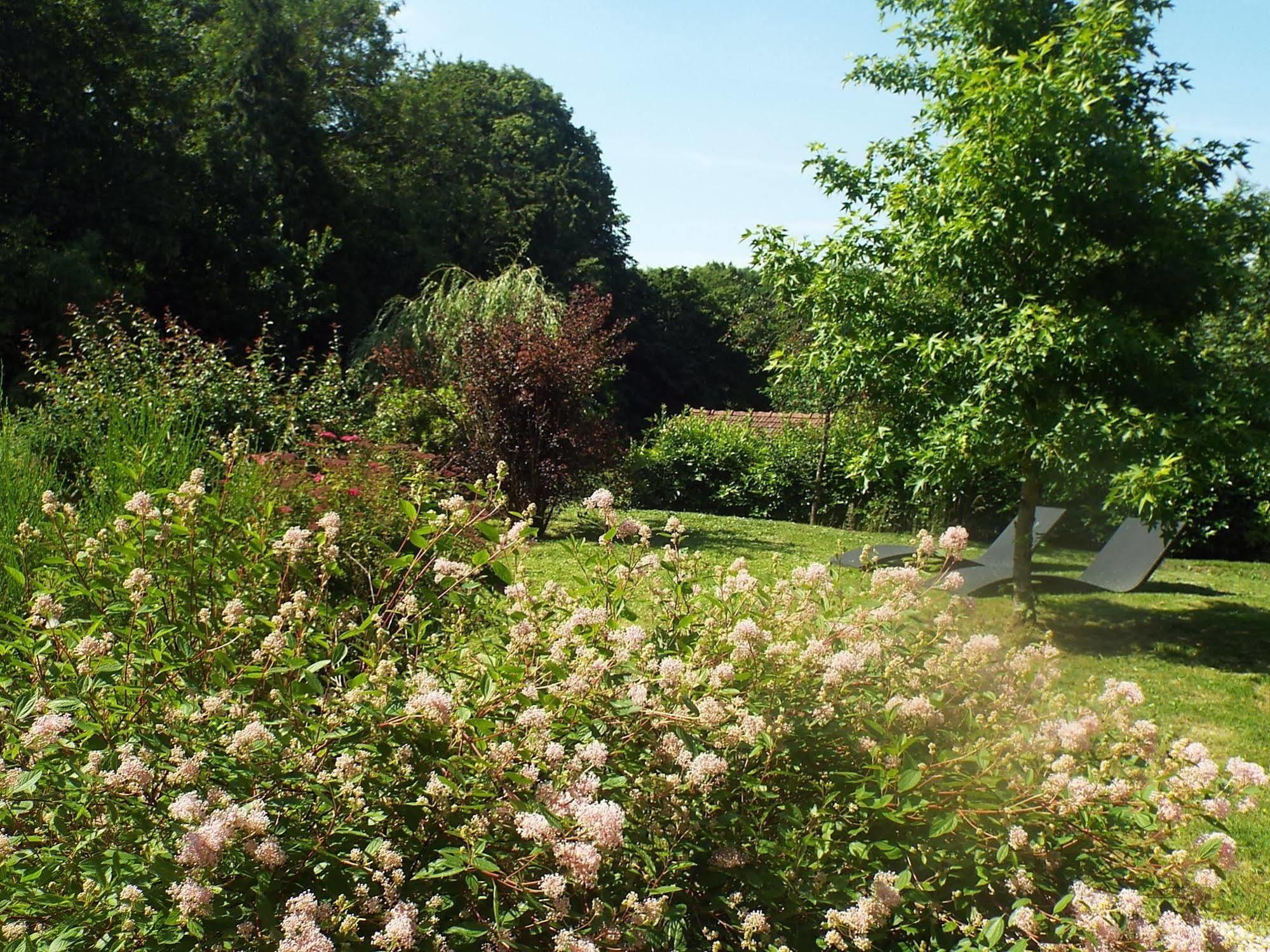 Les Roses De Montherlant Luaran gambar